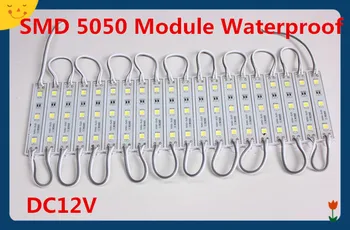 atsparus vandeniui SMD 5050 LED apšvietimo modulis LED backlight LED modulis RGB Geltona/Žalia/Raudona/Mėlyna/Balta/Šiltai Balta Vandeniui IP65 DC12V